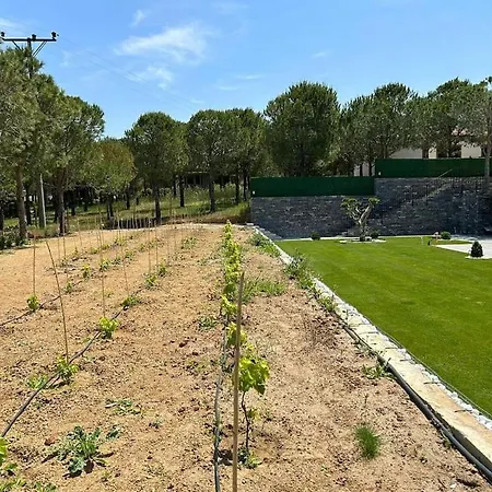 Akbay Mini. Denize 500 Mt Apartamento Bozcaada